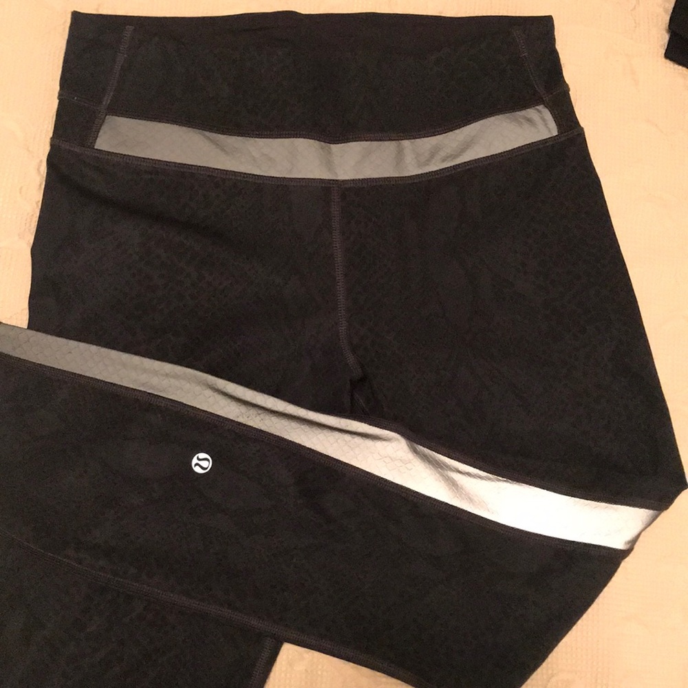 Snake print lulus